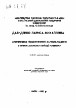 Морфогенез поджелудочной железы человека в перинатальном периоде развития - тема автореферата по медицине