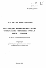 Бактерицидные механизмы фагоцитоза YERSINIA PSEUDO UBERCULOSIS с разным набором плазмид - тема автореферата по медицине