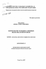 Морфология больших слюнных желез яка в онтогенезе - тема автореферата по ветеринарии