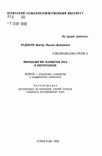 Морфология копытец яка в онтогенезе - тема автореферата по ветеринарии