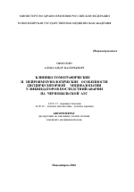 Клинико-томографические и нейроиммунологические особенности дисциркуляторной энцефалопатии у ликвидаторов последствий аварии на Чернобыльской АЭС - тема автореферата по медицине