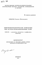 Иммуноморфологические изменения при острой бронхопневмонии телят - тема автореферата по ветеринарии