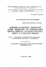 Влияние различных сывороток крови животных на репродукцию вируса лейкоза крупного рогатого скота в культуре клеток - тема автореферата по ветеринарии