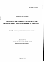 Структурные преобразования правого желудочка сердца собаки при дозированной физической нагрузке - тема автореферата по ветеринарии