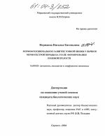 Морфофункциональное развитие тонкой кишки у бычков черно-пестрой породы на этапе формирования половой зрелости - диссертация, тема по ветеринарии