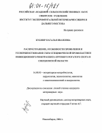 Распространение, особенности проявления и усовершенствование схем специфической профилактики инфекционного ринотрахеита крупного рогатого скота в Свердловской области - диссертация, тема по ветеринарии