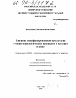 Влияние модифицированного цеолита на течение патологических процессов в желудке и коже - диссертация, тема по ветеринарии