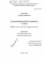 Острая почечная недостаточность у собак - диссертация, тема по ветеринарии