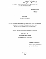 Структурная организация органов иммуногенеза плодов овец при нормальной беременности и при фетоплацентарной недостаточности - диссертация, тема по ветеринарии