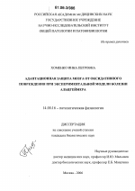 Адаптационная защита мозга от оксидативного повреждения при экспериментальной модели болезни Альцгеймера - диссертация, тема по медицине