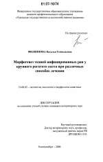 Морфогенез тканей инфицированных ран у крупного рогатого скота при различных способах лечения - диссертация, тема по ветеринарии