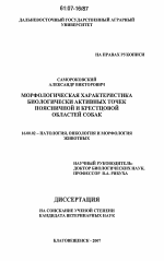 Морфологическая характеристика биологически активных точек поясничной и крестцовой областей собак - диссертация, тема по ветеринарии