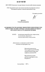 Особенности управления эпизоотическим процессом при острых респираторных заболеваниях крупного рогатого скота в Уральском регионе - диссертация, тема по ветеринарии