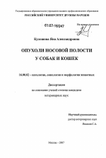 Опухоли носовой полости у собак и кошек - диссертация, тема по ветеринарии