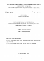 Морфологическая характеристика мозгового вещества и церебральная гемодинамика при ушибе головного мозга - диссертация, тема по медицине