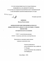 Морфологические изменения матки и ее лимфатического аппарата после родов с рубцом миометрия (экспериментальное исследование) - диссертация, тема по медицине