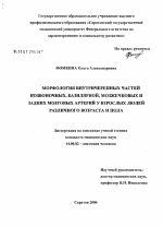 Морфология внутричерепных частей позвоночных частей позвоночных, базилярной, мозжечковых и задних мозговых артерий у взрослых людей различного возраста и пола - диссертация, тема по медицине