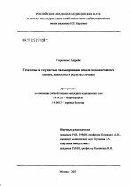 Гематомы и сосудистые мальформации ствола головного мозга. Клиника, диагностика, результаты лечения - диссертация, тема по медицине