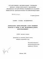 Морфология лимфатических узлов брюшной полости в норме и при экспериментальном иммунодефиците - диссертация, тема по медицине