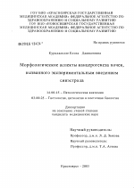 Морфологические аспекты канцерогенеза почек, вызванного экспериментальным введением синэстрола - диссертация, тема по медицине