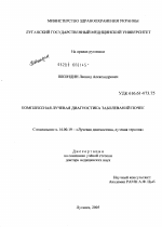 Комплексная лучевая диагностика заболеваний почек - диссертация, тема по медицине