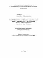 Роль точечных мутаций CTAR-доменов гена LMP1 вируса Эпштейна-Барр в модификации сигнальных путей клетки - диссертация, тема по медицине