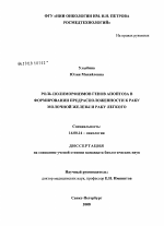 Роль полиморфизмов генов апоптоза в формировании предрасположенности к раку молочной железы и раку легкого - диссертация, тема по медицине