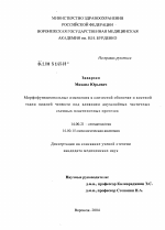 Морфофункциональные изменения в слизистой оболочке и костной ткани нижней челюсти под влиянием двухслойных частичных съемных пластиночных протезов - диссертация, тема по медицине