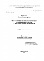 Морфологическая характеристика поясничных стволов в постнатальном онтогенезе - диссертация, тема по медицине