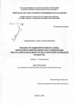 Реконструкция протезного ложа перед протезованием мостовидными протезами в переднем отделе верхней и нижней челюсти - диссертация, тема по медицине