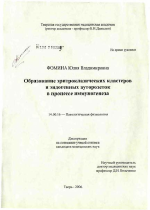 Образование эритроклассических кластеров и эндогенных ауторозеток в процессе иммуногенеза - диссертация, тема по медицине