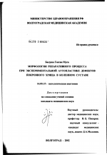 Морфология репаративного процесса при экспериментальной аутопластике дефектов покровного хряща в коленном суставе - диссертация, тема по медицине