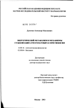 Энергетический метаболизм и механизмы стабилизации АТФ в гепатоцитах при гипоксии - диссертация, тема по медицине