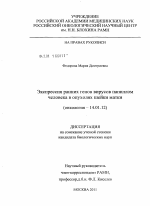 Экспрессия ранних генов вирусов папиллом человека в опухолях шейки матки - диссертация, тема по медицине