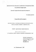 Диагностика и лечебно-профилактические меры при остеодистрофии у свиноматок - диссертация, тема по ветеринарии