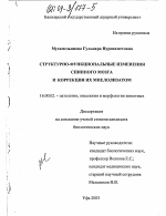 Структурно-функциональные изменения спинного мозга и коррекция их миелолизатом - диссертация, тема по ветеринарии