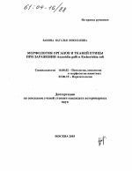 Морфология органов и тканей птицы при заражении Ascaridia galli и Escherichia coli - диссертация, тема по ветеринарии